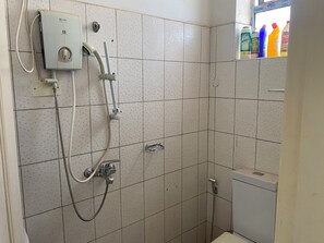 Shower, towels, toilet paper