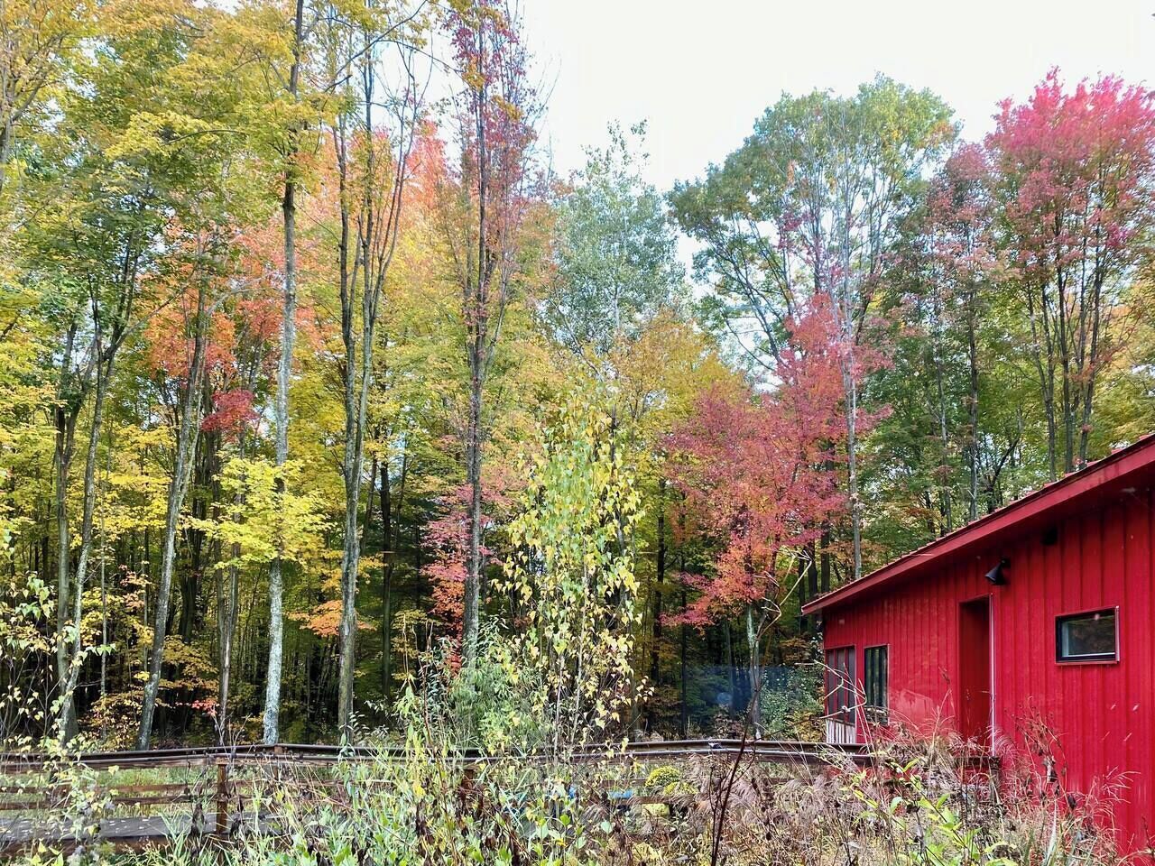 Een rode blokhut in een bos, omringd door herfstkleuren.