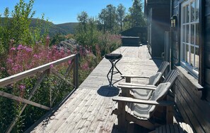 Terrace/patio - 3 bedroom lovely home in åseral (Åseral)