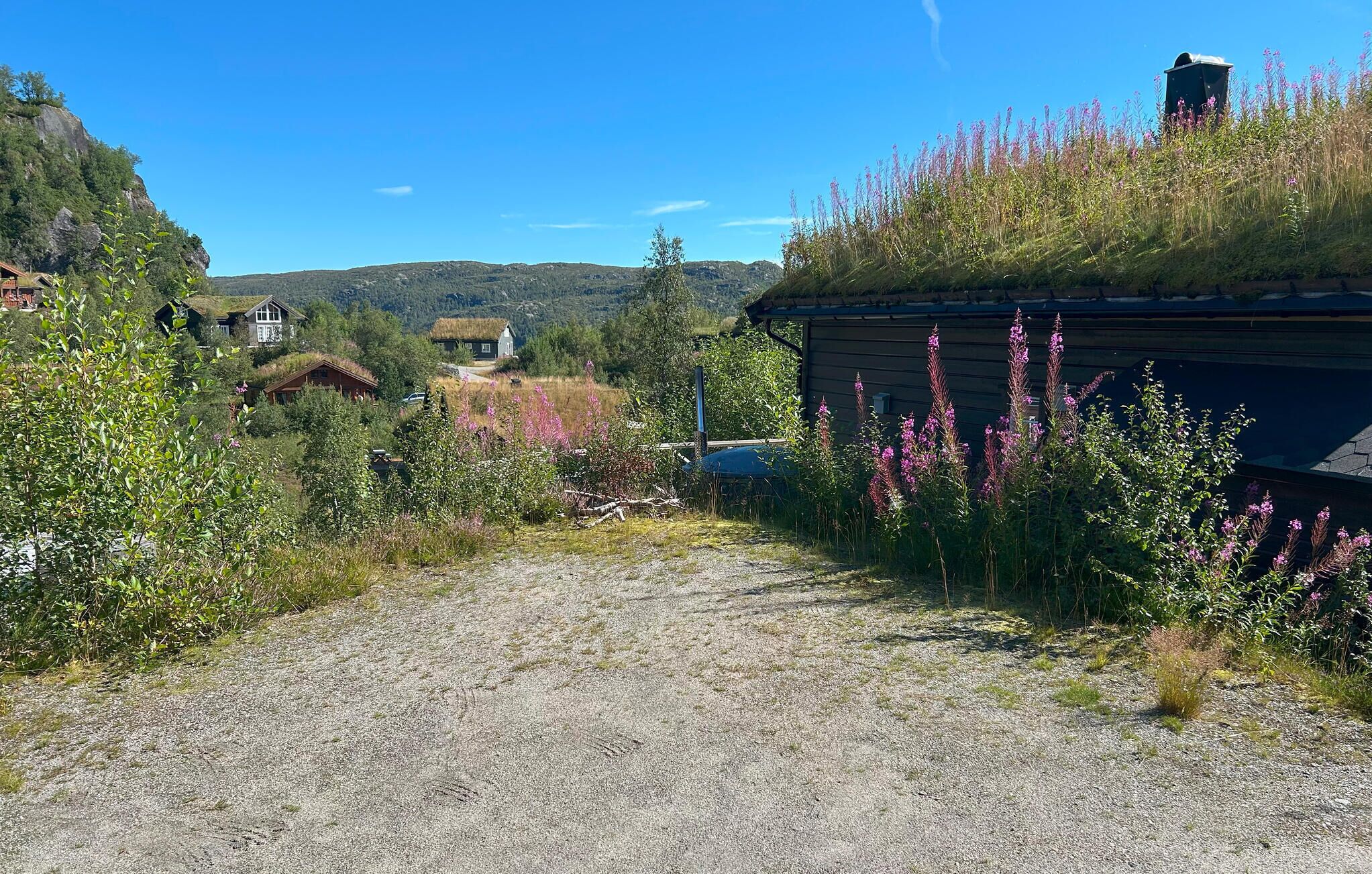 Un sentiero sterrato conduce a un edificio con tetto di paglia, circondato da vegetazione lussureggiante e colline sullo sfondo.