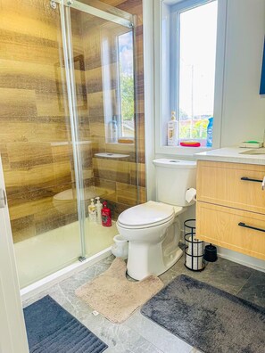 Hair dryer, towels, soap, toilet paper