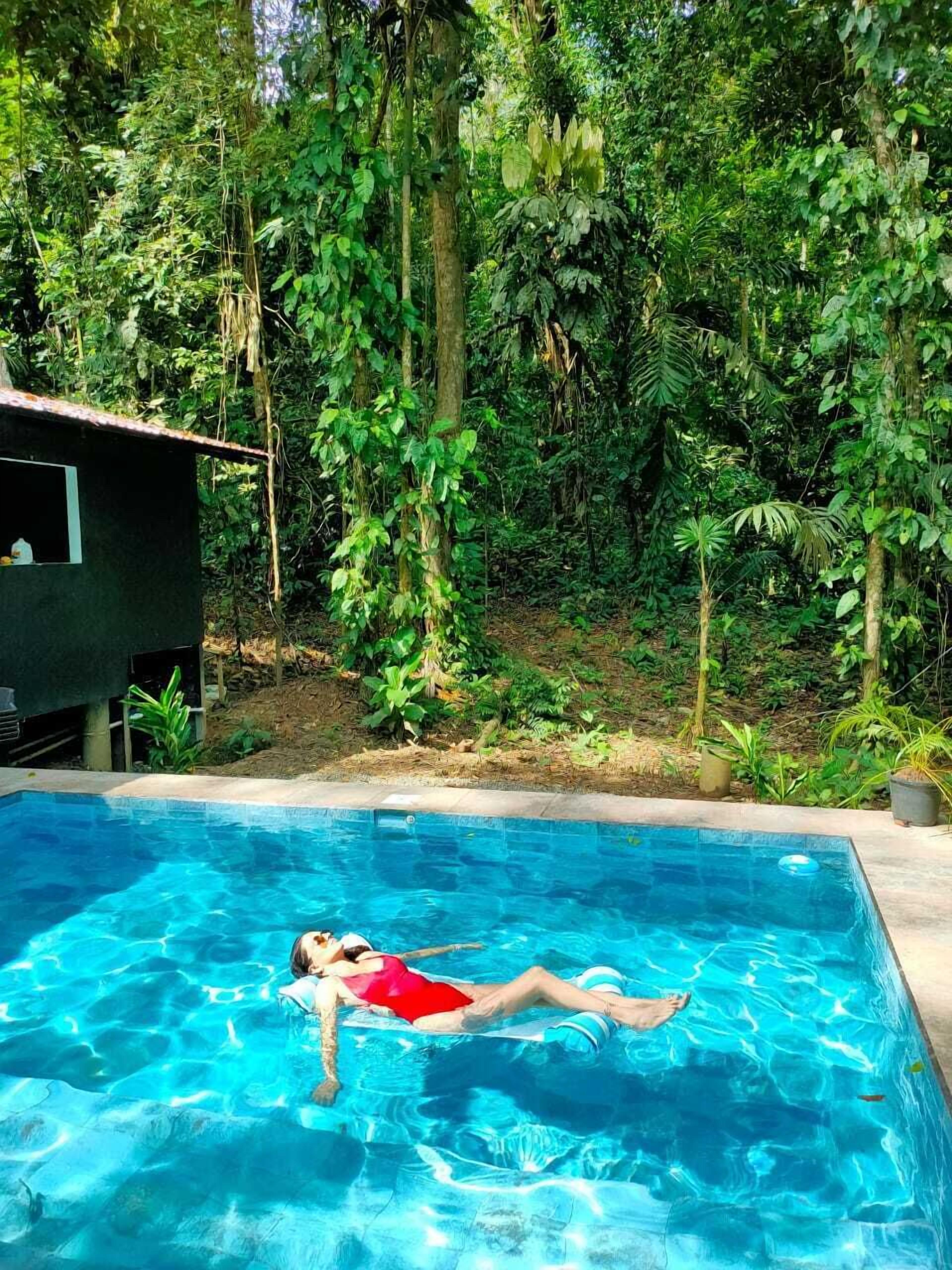 A swimming pool with clear blue water, surrounded by lush greenery and trees.