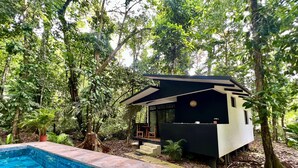 A modern outdoor pool area with a small building structure, surrounded by dense forest. - FINCA ARDILLA (Cahuita)