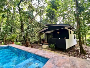 View from property - FINCA ARDILLA (Cahuita)