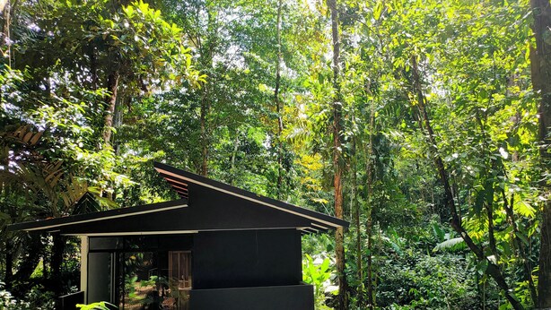 A modern house with a pool, surrounded by dense greenery. - FINCA ARDILLA (Cahuita)