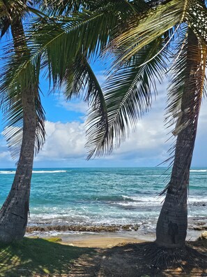 A beach scene with palm trees and ocean waves.