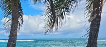 Spacious Oceanfront Villa_Game Room Bar, XL Balcony, Park_Family &Groups Retreat