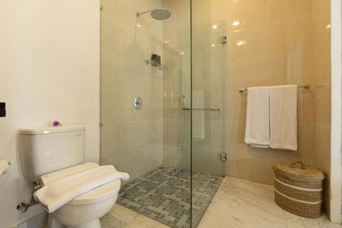 A modern bathroom with a glass-enclosed shower, a toilet, and a towel rack.