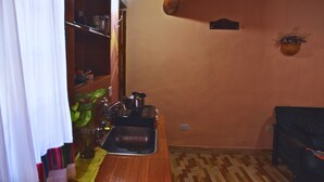 Une cuisine avec un plan de travail en bois, un évier et une cuisinière. On peut voir une plante en pot sur le plan de travail et une plante suspendue au mur.