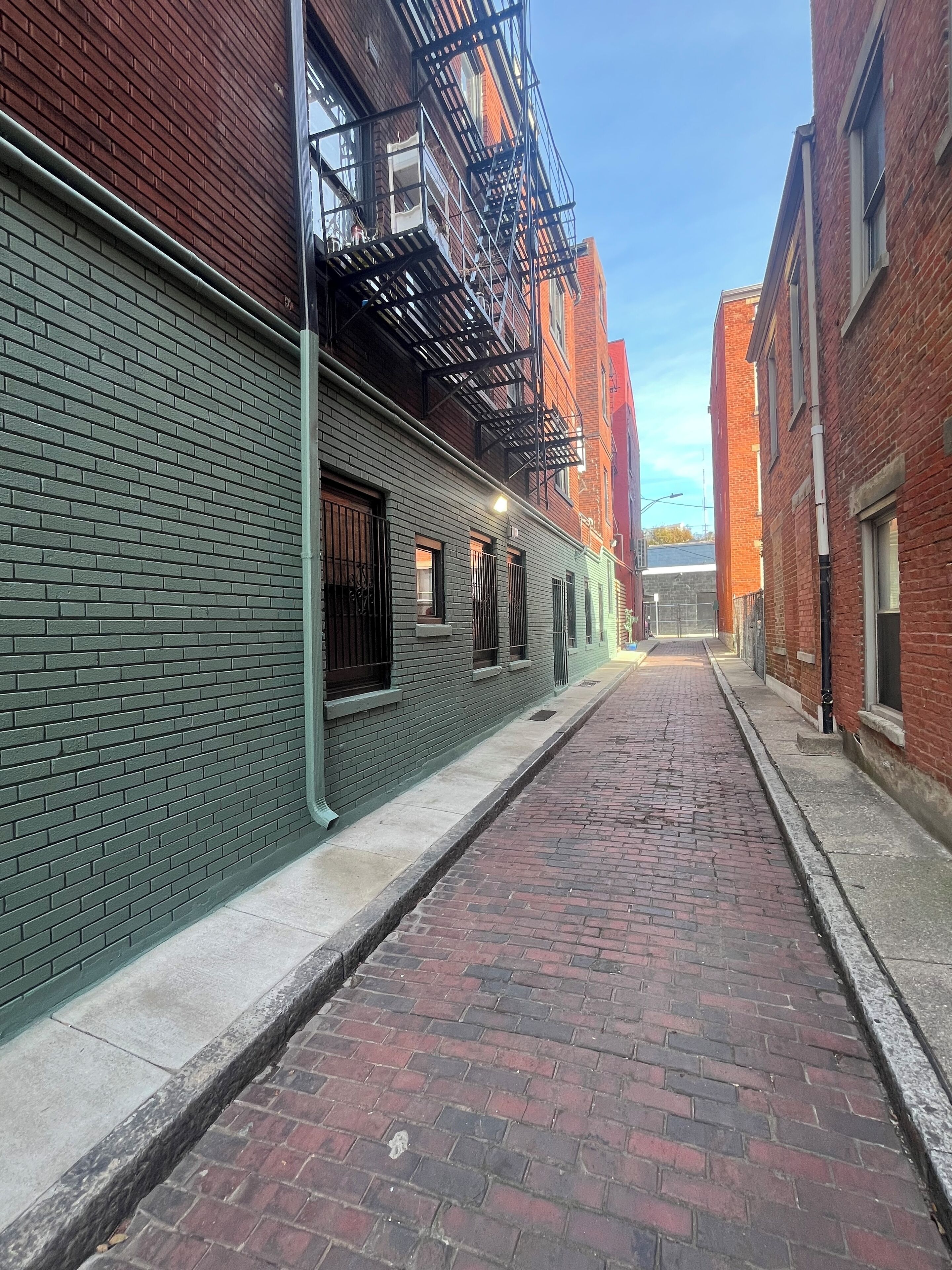 A narrow brick alley with fire escapes on the buildings.