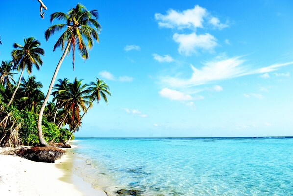 Beach - Spacious 5-bedroom building in Wonderful F.Nilandhoo with AC (F.Nilandhoo)