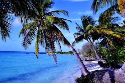 Spacious 5-bedroom building in Wonderful F.Nilandhoo with AC
