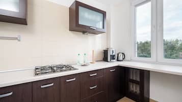 Kühlschrank, Mikrowelle, Herdplatte, Geschirrspüler