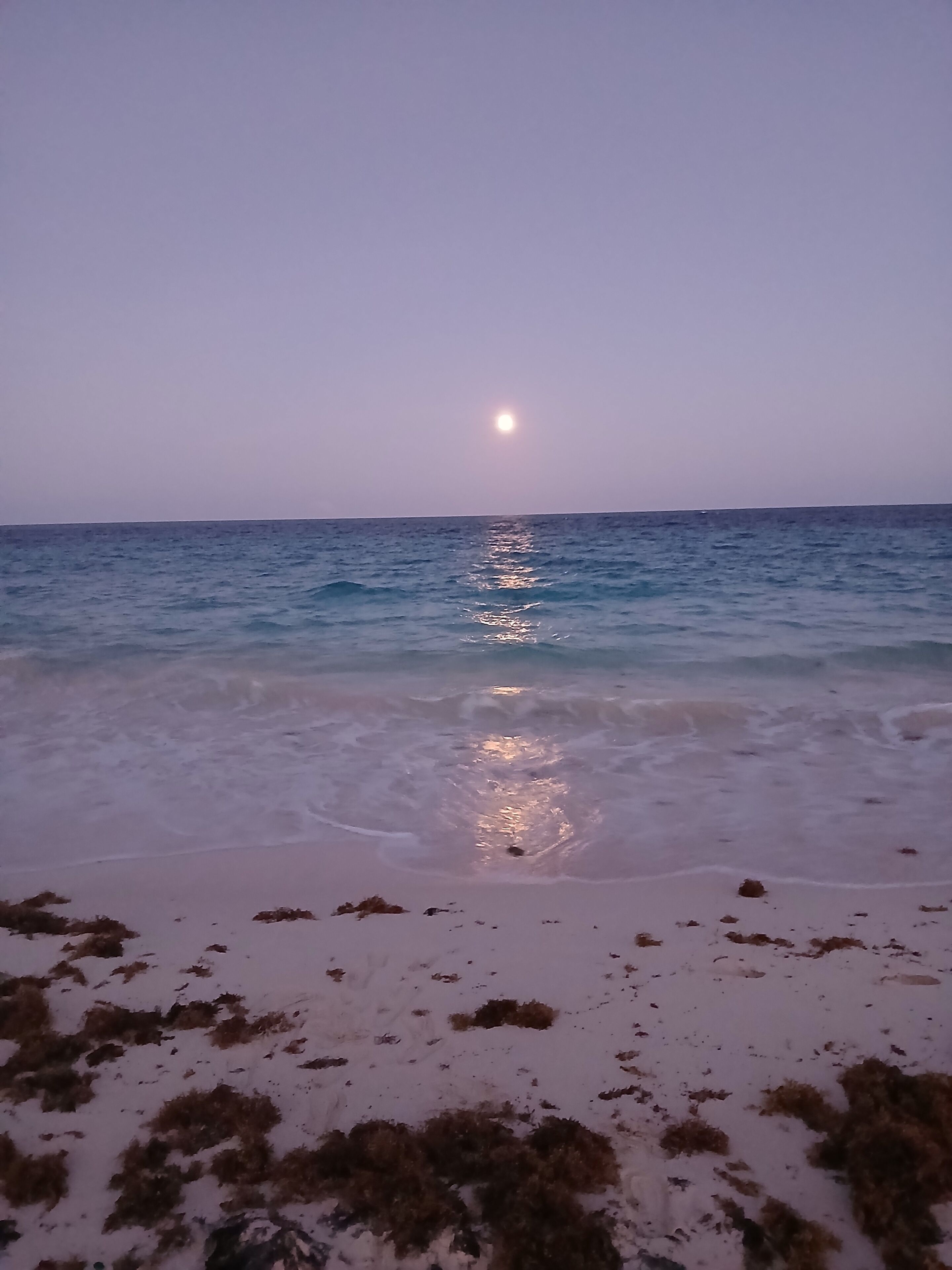 Beach nearby, sun-loungers, beach towels