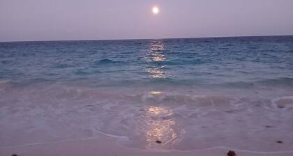 Tiny Studio in fabulous Smith's Parish at John Smith's Bay Beach, SMITH'S Parish