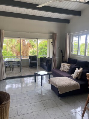 TV, books, video library