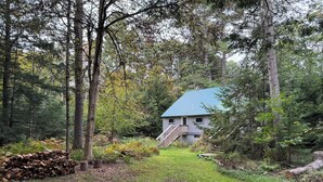 A rustic house with a metal roof, surrounded by dense forest. A wooden staircase leads to a deck. - Charming Cabin, Lake Access! Backyard Bubbling Brook. Pets Welcome! (Denmark)