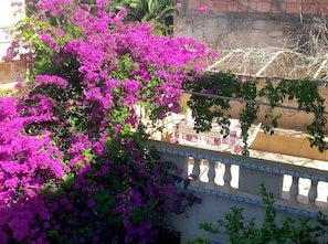 Outdoor dining - Maison reposente au bord de Mer (Oran)