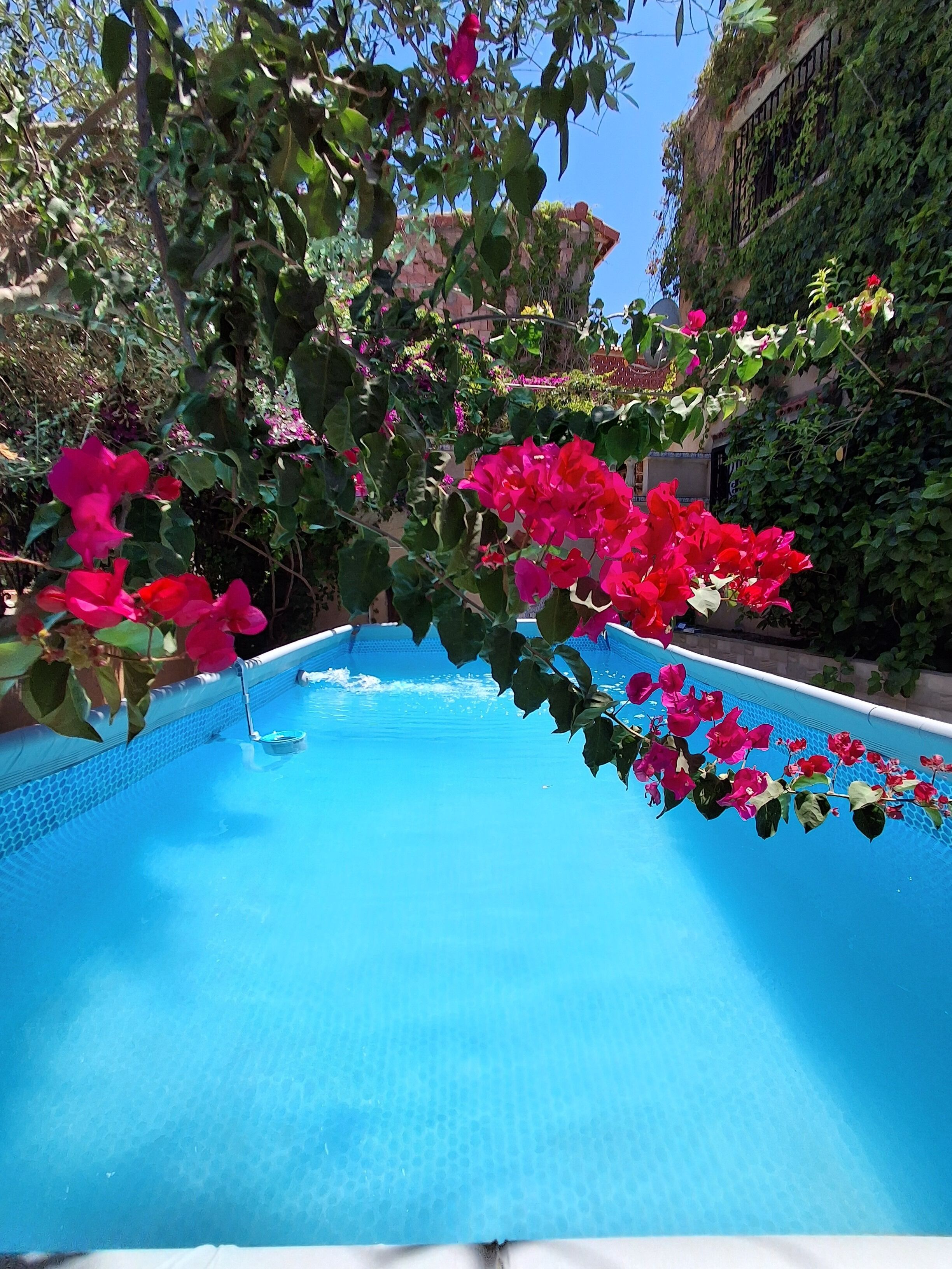 Piscine extérieure