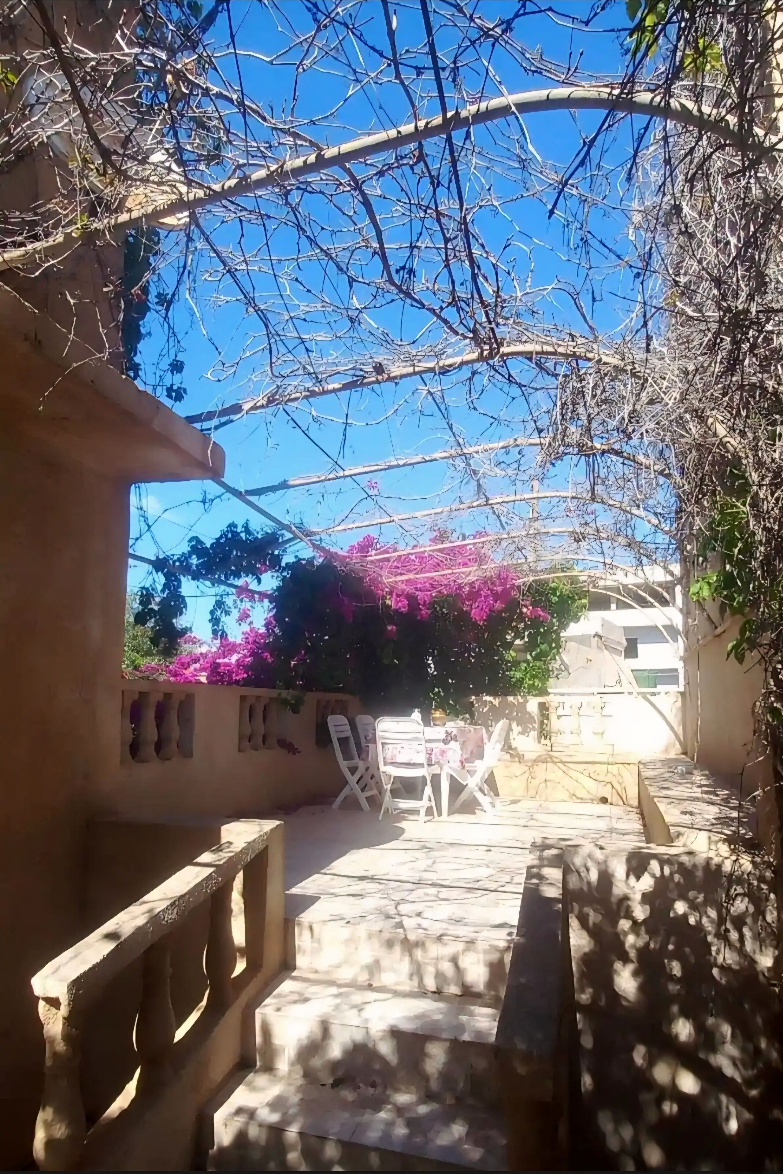 Áreas de la propiedad