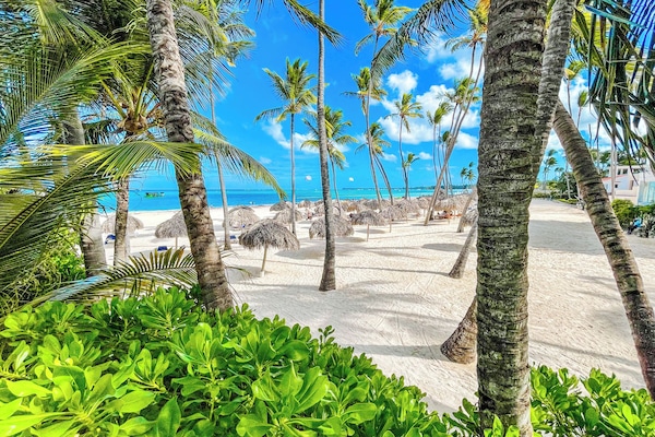 Perto da praia, areia branca, espreguiçadeiras, guarda-sóis