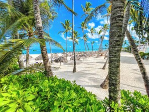 Una playa con palmeras y un cielo azul despejado.