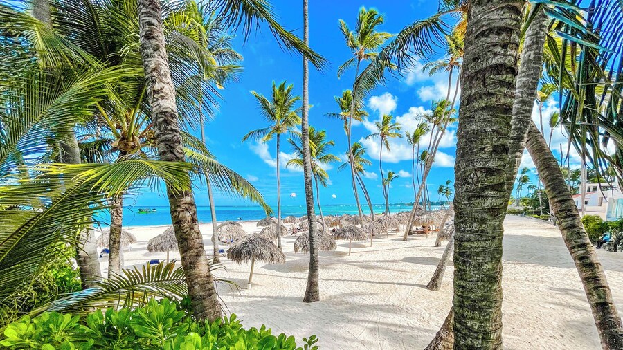 PUNTA CANA Paradise Studios BEACH POOL