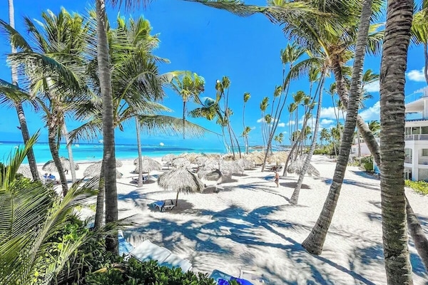Plage à proximité, sable blanc, chaises longues, parasols