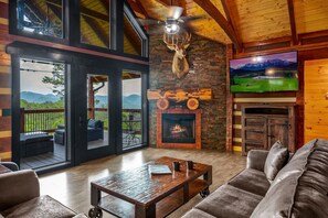 TV, fireplace, books