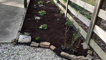 Terrein van de accommodatie