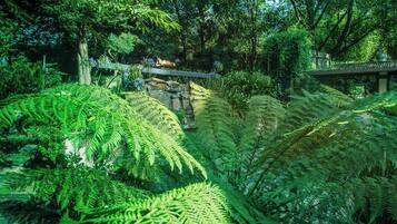 A lush garden with dense ferns and a stone bridge.