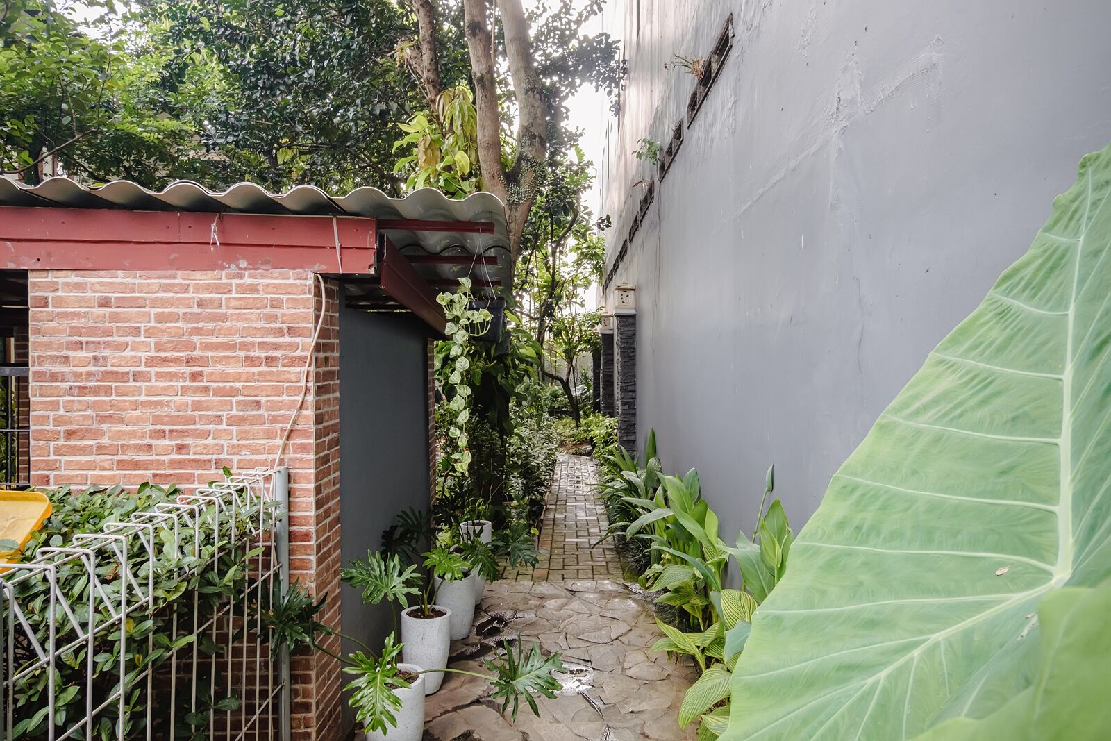 Une ruelle étroite, avec un mur de briques d’un côté et un mur gris de l’autre. Des plantes en pot et une clôture métallique se trouvent à gauche.