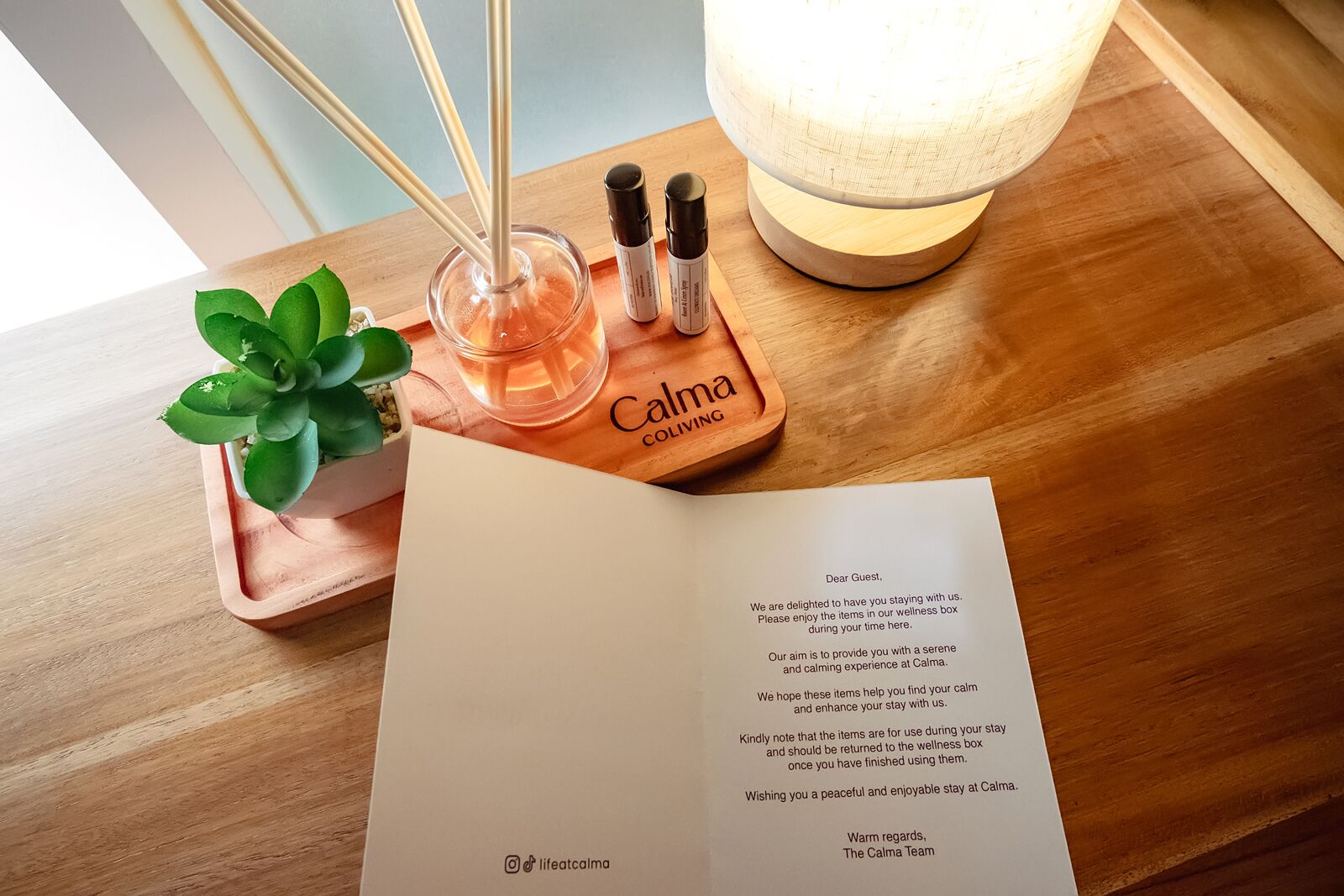 Una mesa de madera con una caja de bienestar, una lámpara encendida, una planta en maceta y un folleto abierto.