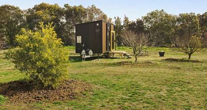 Tiny in the Orchard by Tiny Away