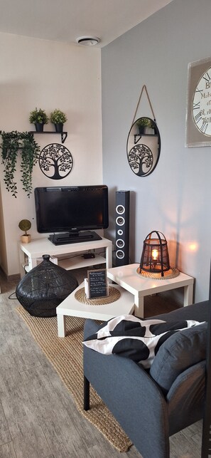 TV