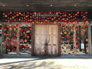 Exterior detail - Luxury Oasis Retreat W/Pool, Jacuzzi, Pickleball, Pool Table, Games (Tampa)