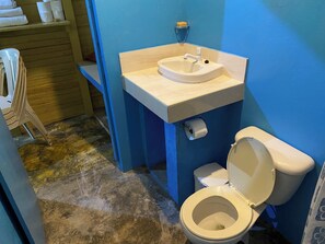 Shower, hair dryer, towels - the Count of Villa Rosa (La Ceiba, La Altagracia)