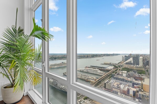 A window with a view of a river and cityscape, a potted plant, and a white window frame.