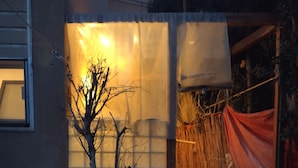 A building with a window, a tree in front, and a bamboo fence. - Villa 56 re (October Gardens)
