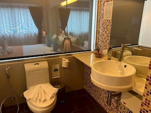 Hair dryer, towels, soap, toilet paper