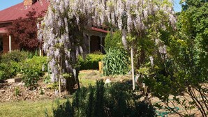 Un jardin orné de glycines, une maison en briques et un toit rouge.