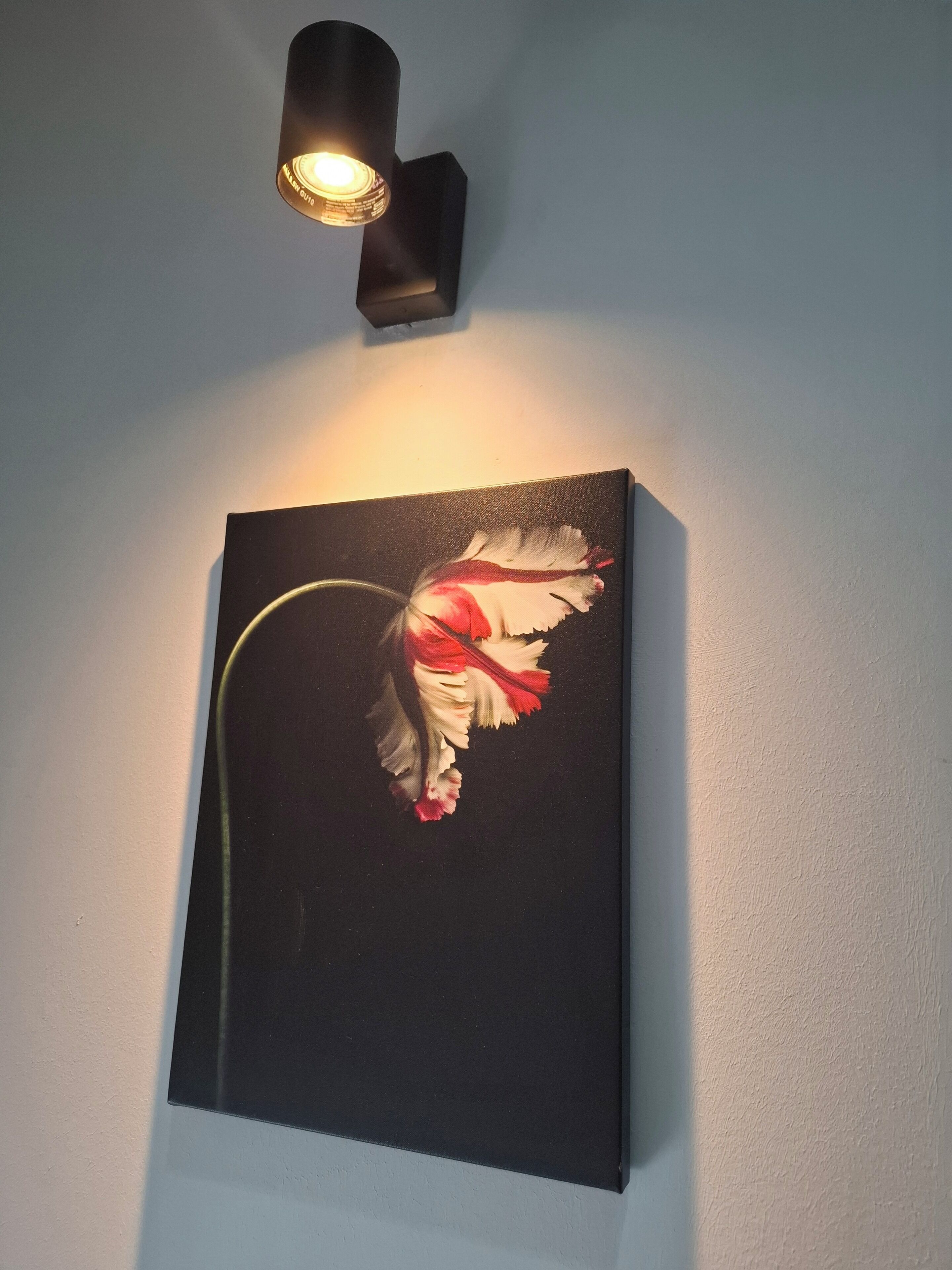 A wall-mounted light fixture with a single bulb, a framed artwork of a bird, and a textured wall.