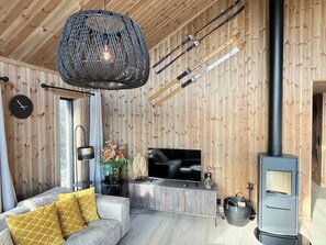 Televisio, takka, kirjoja