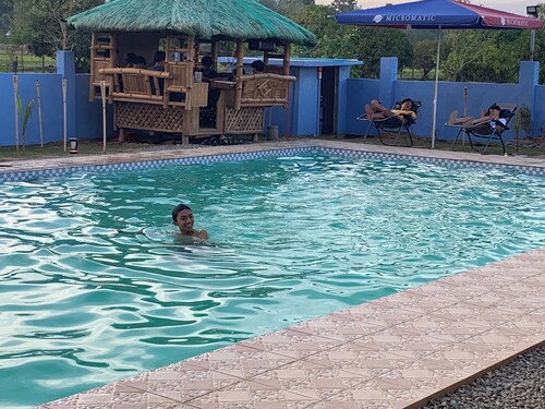 Scarlett Near Mount Zion