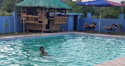 Scarlett Near Mount Zion