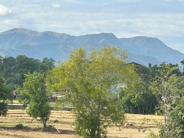 Double Room, Balcony, Mountain View | Mountain view - Scarlett Near Mount Zion (Bugallon)