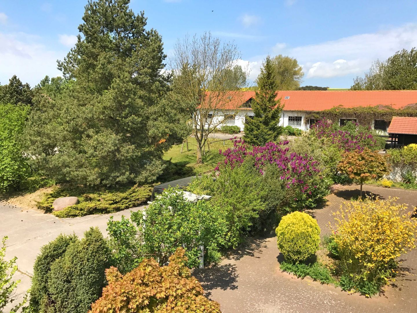 Ein angelegter Garten mit verschiedenen Bäumen und Sträuchern, eine gepflasterte Auffahrt und ein Gebäude mit rotem Ziegeldach.