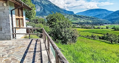 Picchio Primavera by Interhome