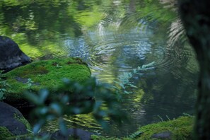 花园景观