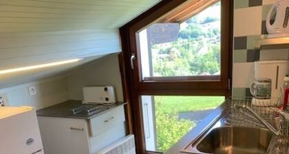 Magnifique appartement vue sur la Vallée Verte